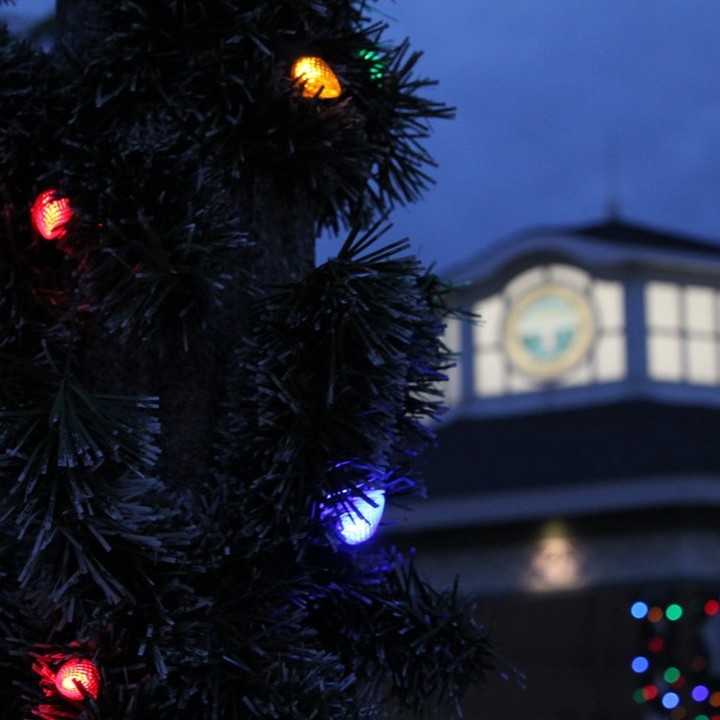 🎄🎵🎁🎶Come join us on FRIDAY, NOVEMBER 25TH from 6:30pm until 7:00pm as we welcome in the holiday season with our annual Rehoboth Beach Christmas Tree Lighting and Sing-Along!
@clearspacetheatrecompany will provide our music and entertainment while we welcome the 25-foot giant arborvitae, donated by Dean and Debbie Smith, to its new holiday home at the Rehoboth Beach Bandstand!